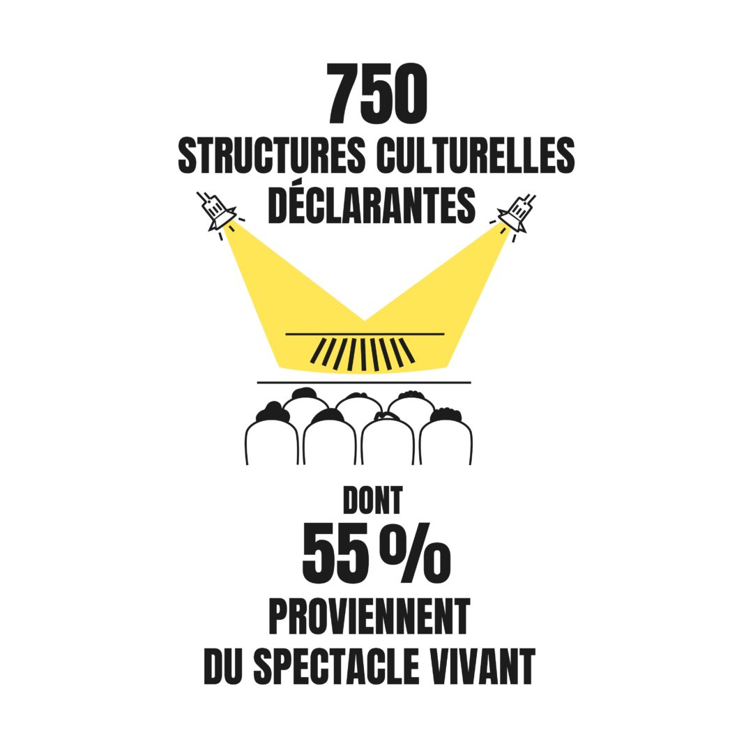 Caroussel Cartocrise - Infographie - Texte : 750 structures culturelles déclarantes dont 55 % proviennent du spectacle vivant. Image : salle de spectacle