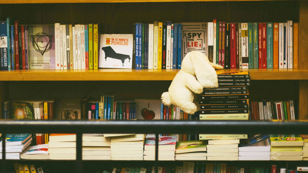 Rayonnage de livres. Un doudou est posé délicatement sur des livres. 