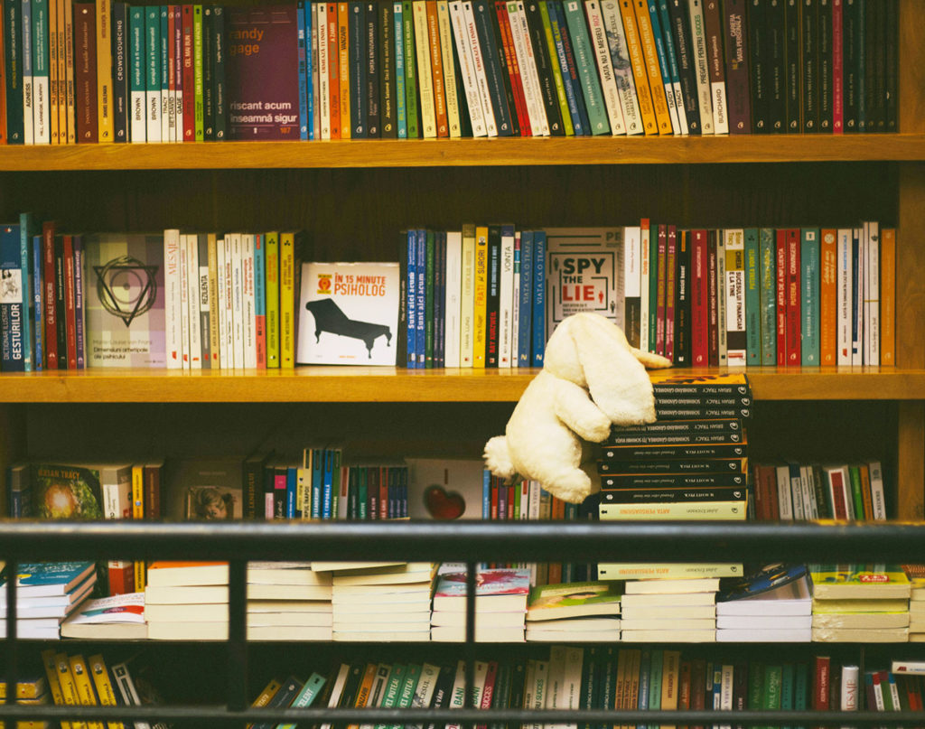 Rayonnage de livres. Un doudou est posé délicatement sur des livres.